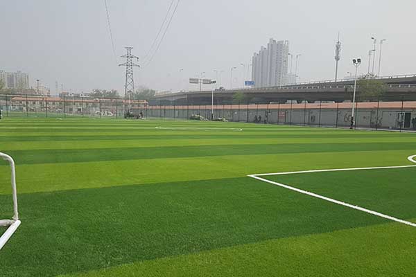 天津市名家足球场人造草坪